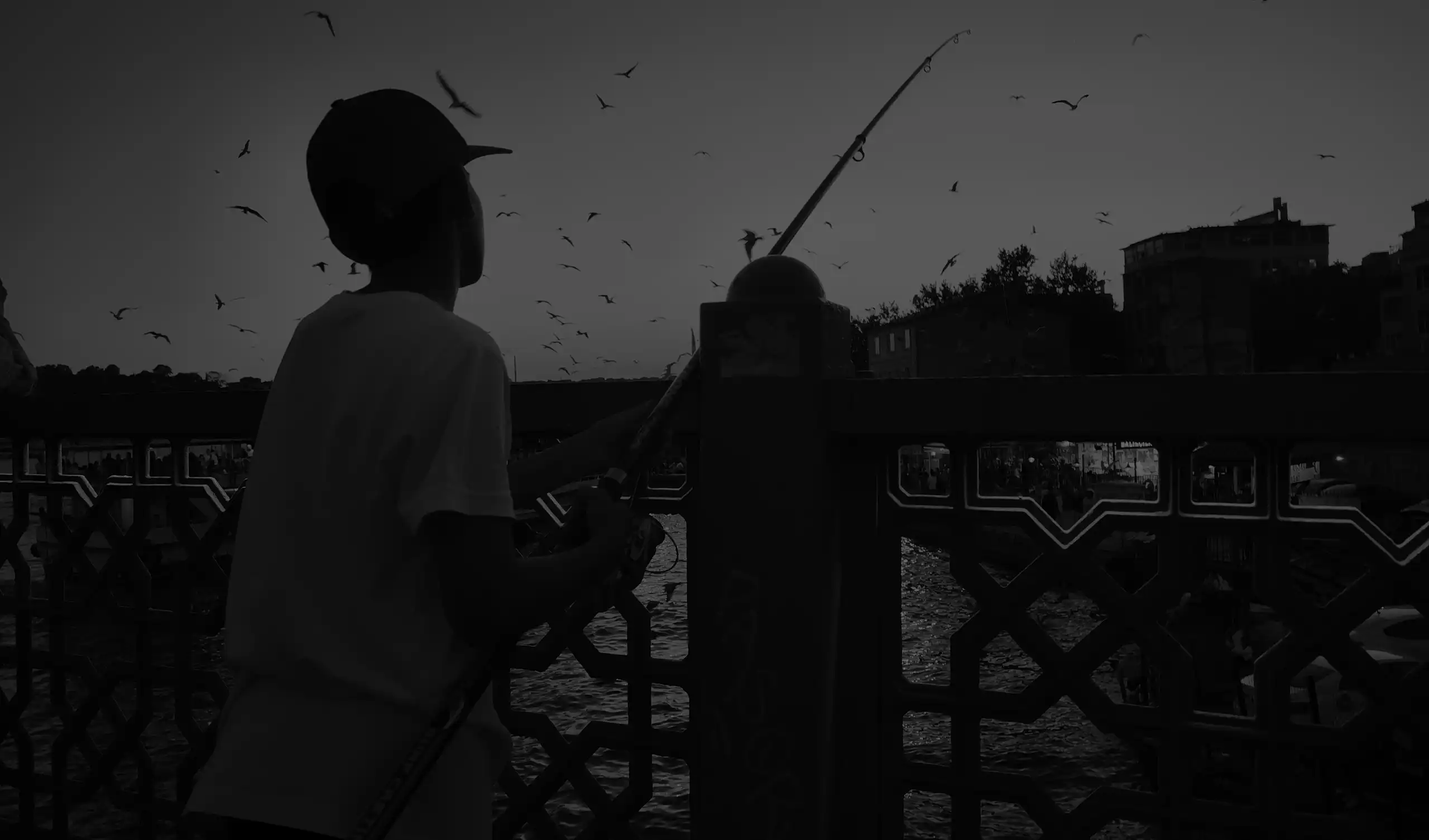 Diavetítés illusztráció